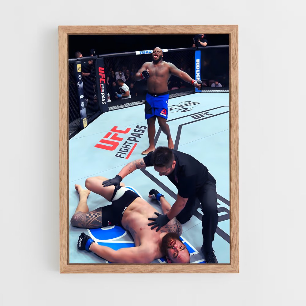 Poster Derrick lewis duel – affiche MMA (vue 4)
